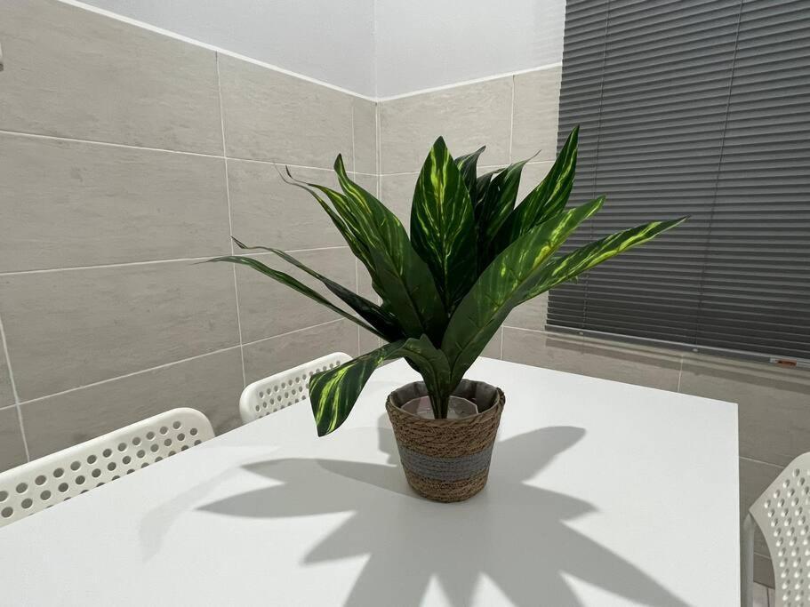 D'Sara Homestay Fully Furnished 3 Bedrooms All Aircond 2 Miles Centre Chukai Екстер'єр фото